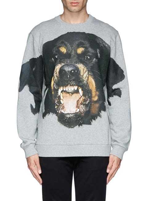 givenchy bulldog sweatshirt|Givenchy sweatshirt men.